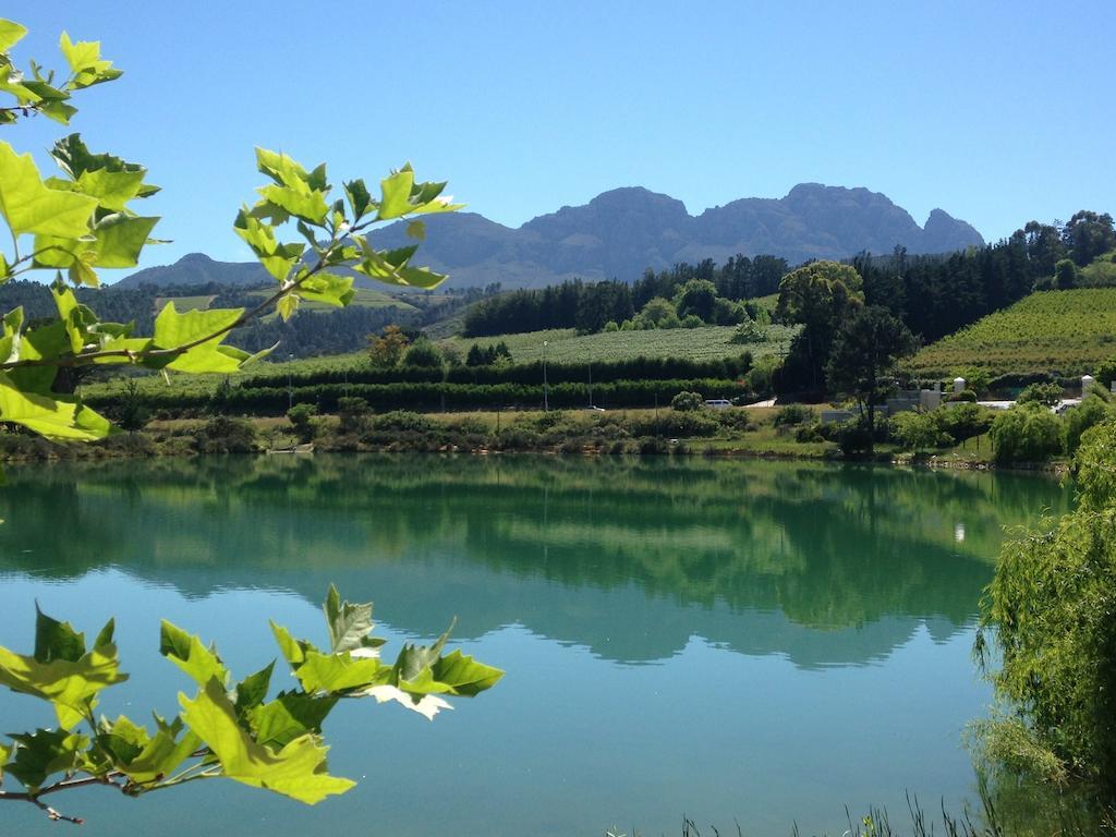 Fynbos Feniks Apartment Municipalità locale di Municipalità locale di Stellenbosch Esterno foto